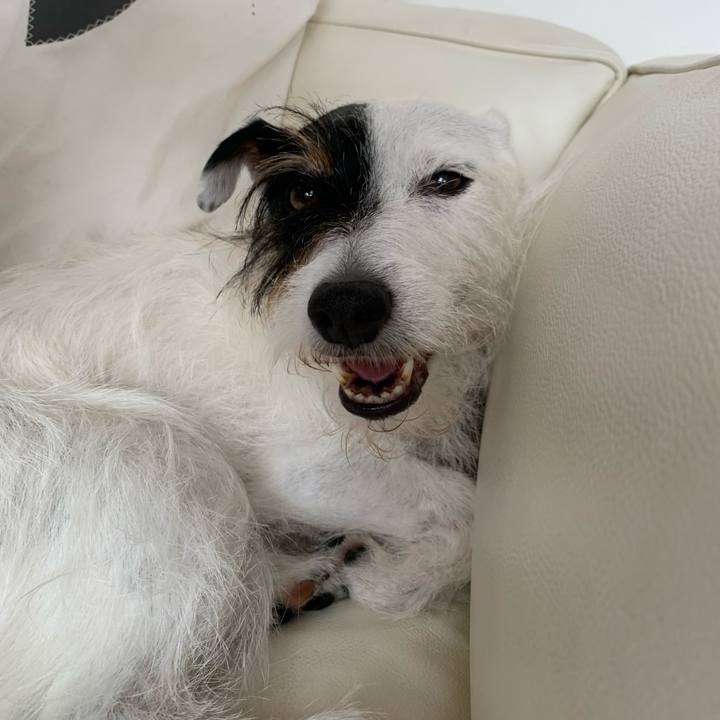 14589b9e aa6e 4206 a31c 1611798be929 1655786834635