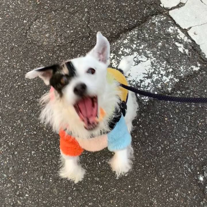 1458a29b 9219 4306 b21b e1322328d9aa 1735602229562