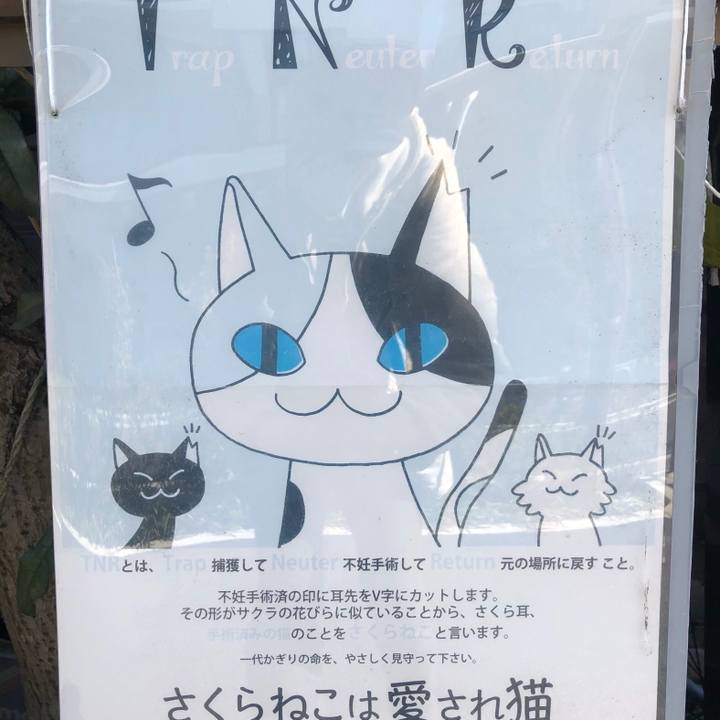 1458c596 ca35 4439 b110 64b8647f2e10 1583132632752