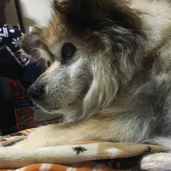 1458dac4 01a9 4f19 8dbc 1b53933d1193 1609215069827