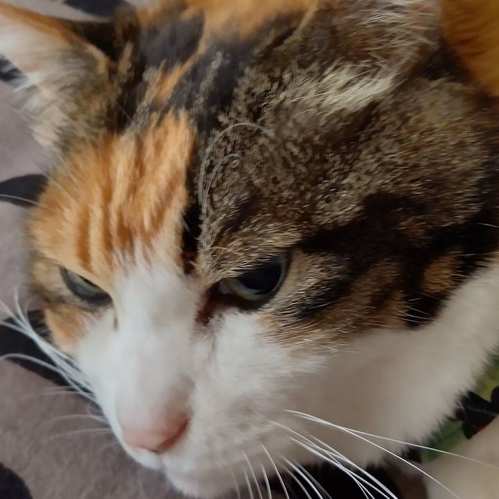 1458e635 6fe4 45a7 9890 d0f689d3c1ad 1650075256507