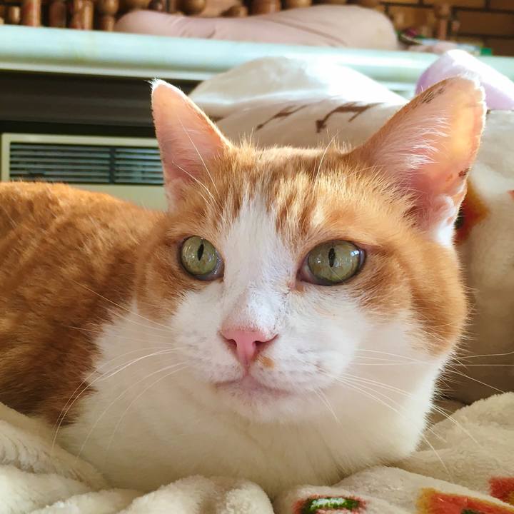 145946e4 2d40 4d2b 8911 a19ecf220c76 1613230071016