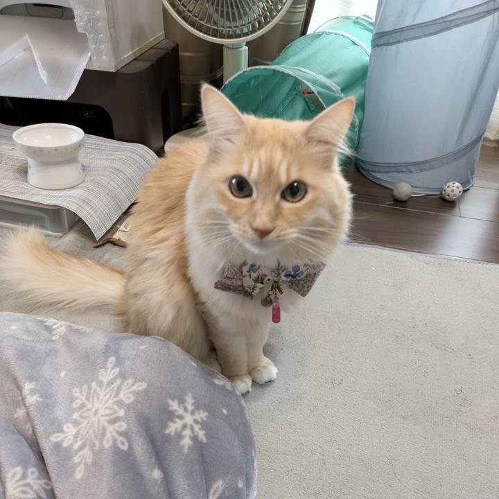 145968d4 1f9e 4ed3 a1cd 5f47d3806ae1 1767315049306