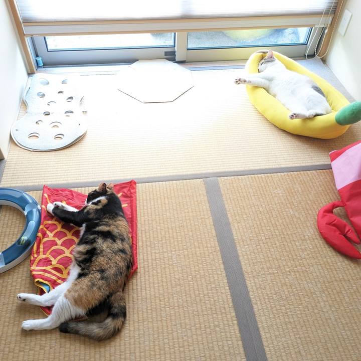 1459866b 744b 4c54 9857 c58e4c002218 1693194921633