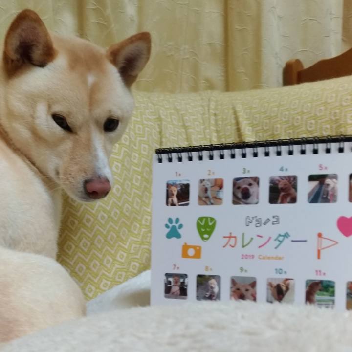 1459ae2f a05c 46ff a94a a038272dd27b 1546082489018