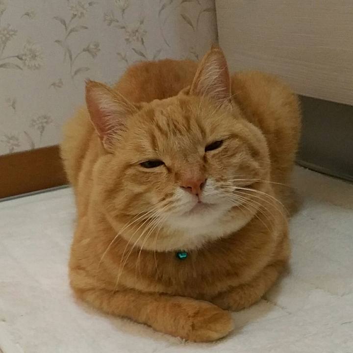 1459eae5 e219 42f7 a6df 1f16f5cfcd64 1578403596658