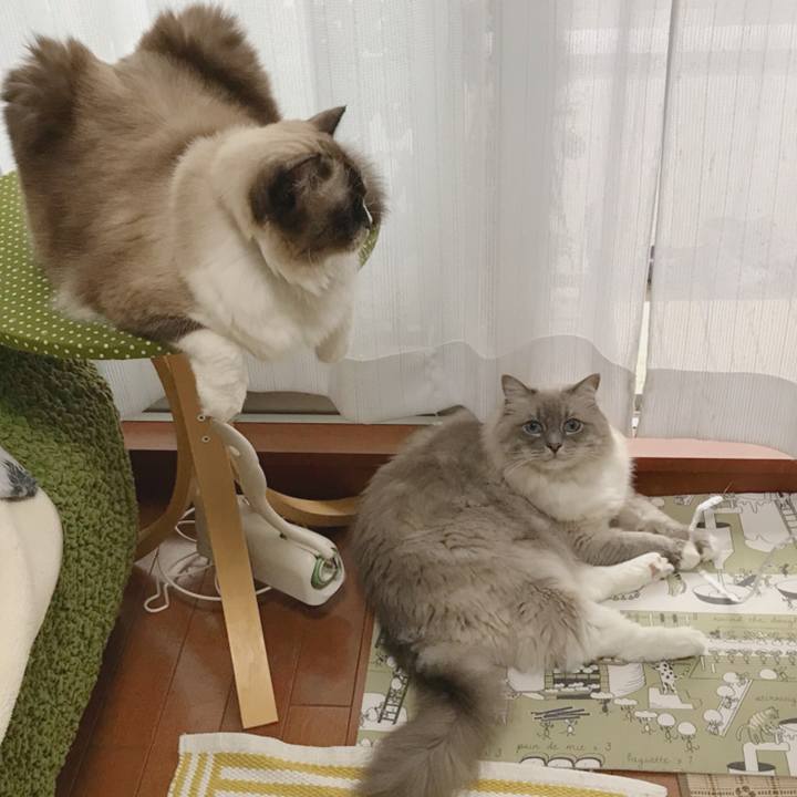 145a120c 7d77 4fbd b7a7 911083123d1f 1508670070713