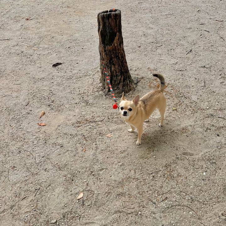 145a1454 e76d 47f4 aef2 1a450ce4809e 1654999718405