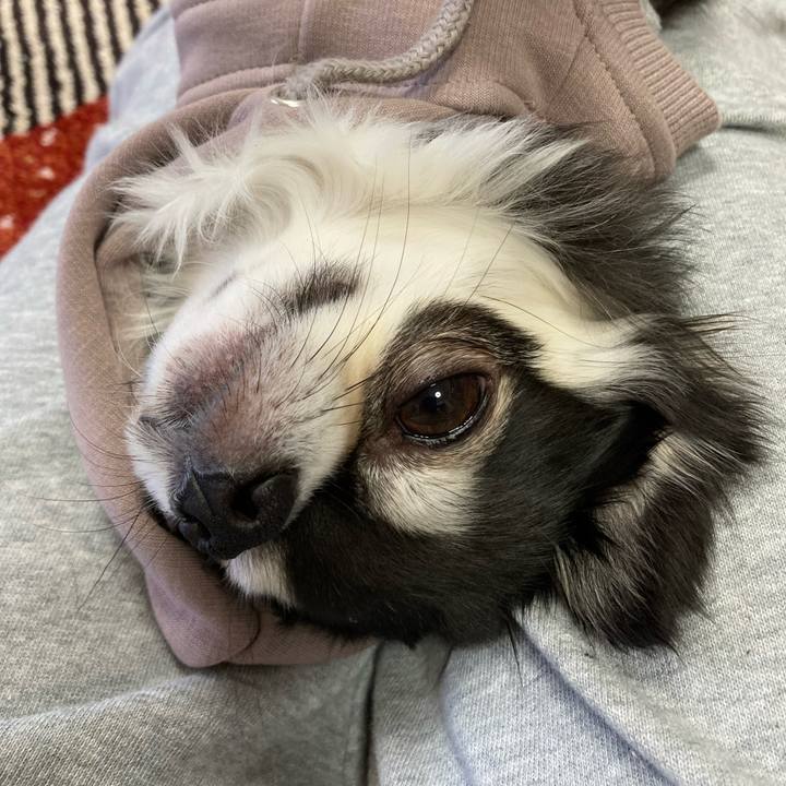 145a1859 36e9 4823 b81e 31b2fe593a87 1675524966578