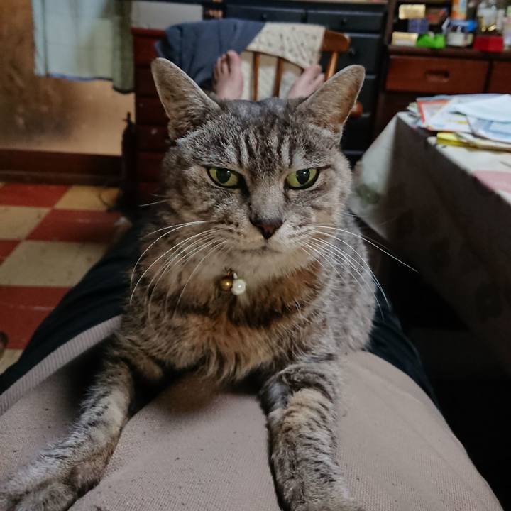 145a32cf 707d 4920 a0ac 48fdddeb6fb1 1573903028502