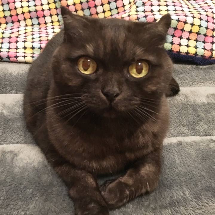 145a936b bf27 4bfd bf26 16280f197b4e 1549295138326