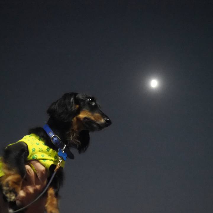 145af2f0 91c3 443b ac1c 377011db6ec8 1593347738262