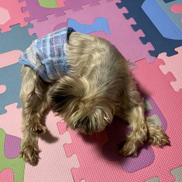 145b17ba 5fac 4af4 ad11 e8c9275fe3ca 1681636658459