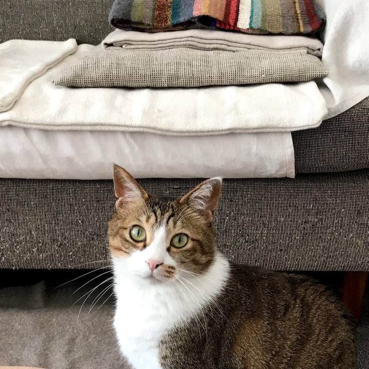 145b56bf 6d78 48aa 87e1 0ada6de4acbe 1554263774885