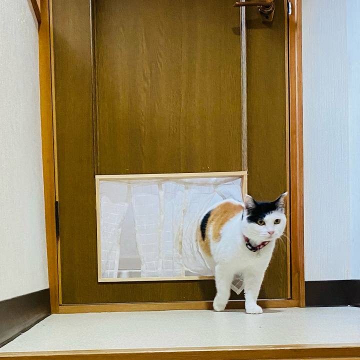 145b59fa f3c1 45f2 91e1 e47d2ce3c35f 1651403032096