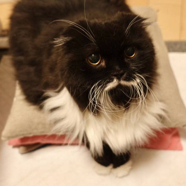 145b9d03 5361 4094 a5b3 3cd34e8f4bd2 1521471512413