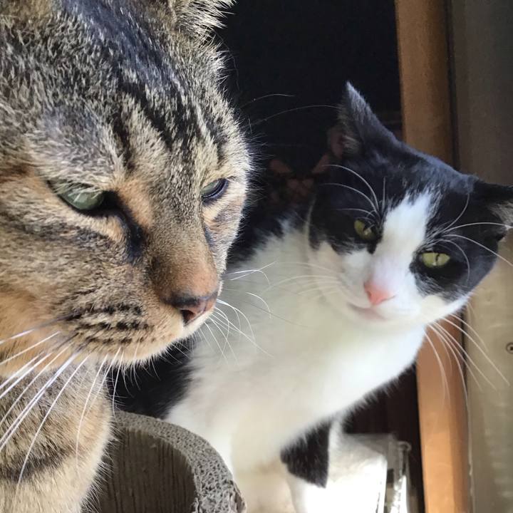 145bbc3a cd5f 42ef 890f b7b618befabd 1741949931670