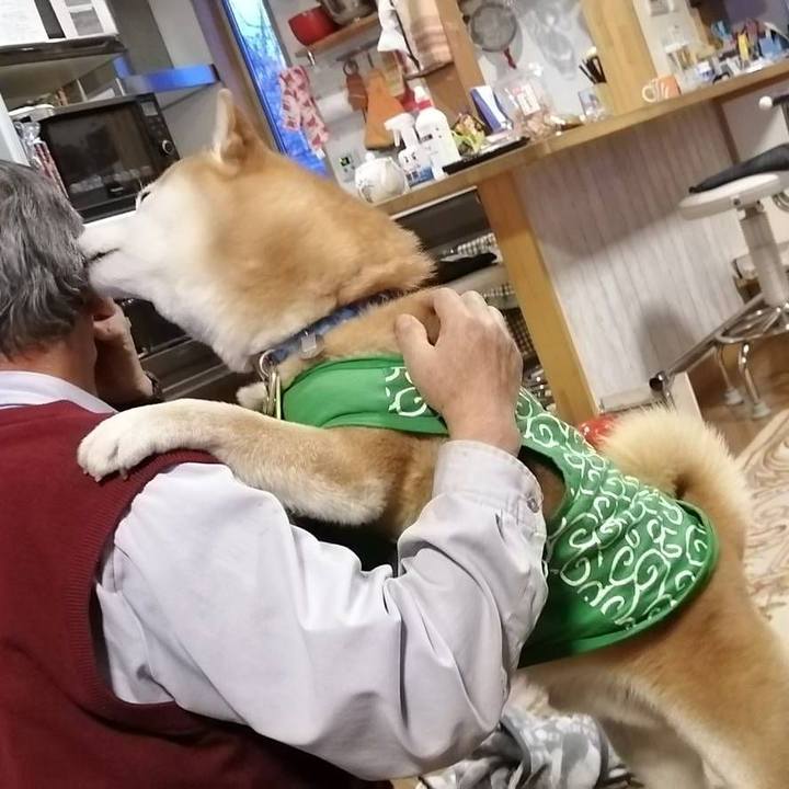 145bc0dd 9a40 4bef a333 7f7d13e20e7b 1586166102819