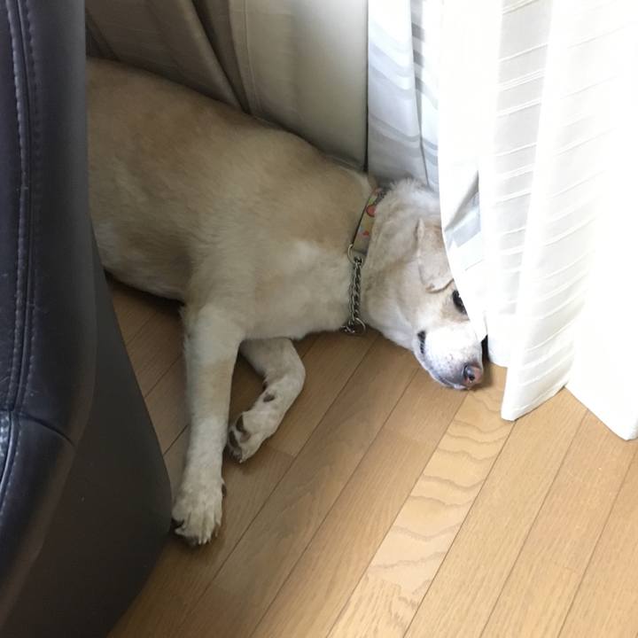 145bdb09 9fe2 49c4 ae2a fa54dffd2ac7 1533568996903