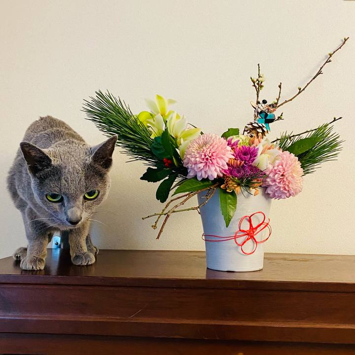 145c0abd 244f 43ec bff7 ef0fcc0b652c 1609043968132