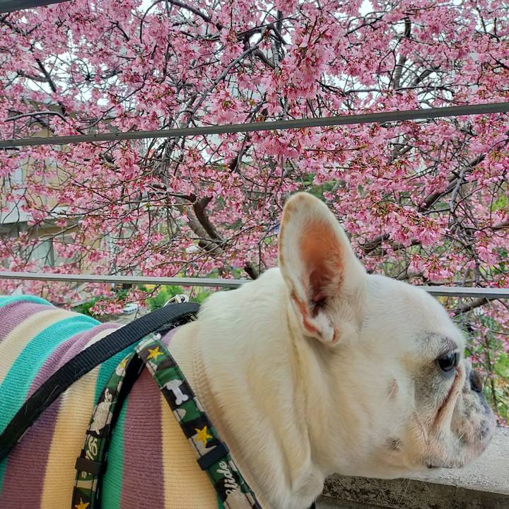 145c3a4c d6b2 4ef5 a3fc 2127251458e0 1647849681244