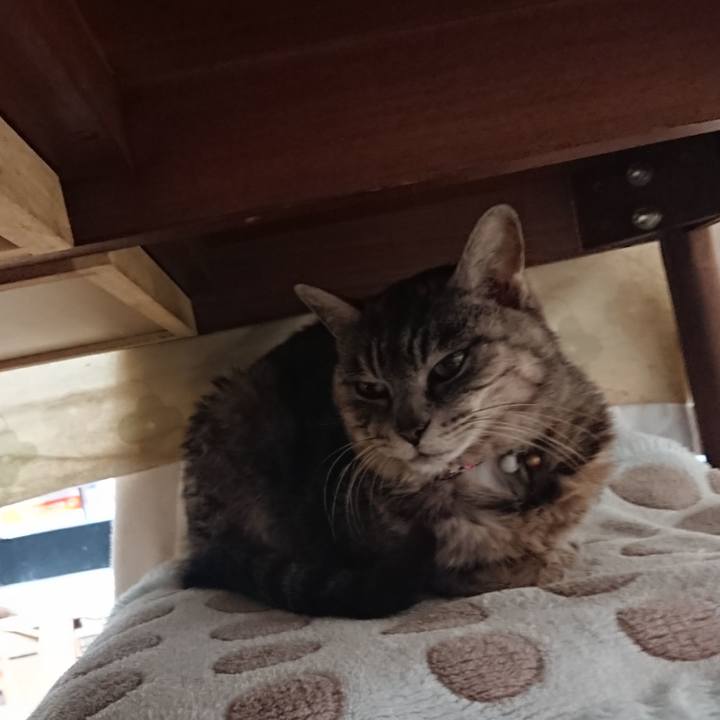 145c53ea 8857 4879 8dbf 907d0b7ef999 1582952577542