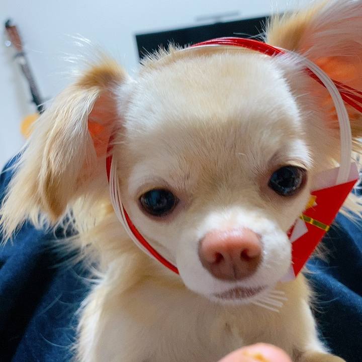 145c8640 d090 48da 8971 4c0803cf66f4 1622711858428