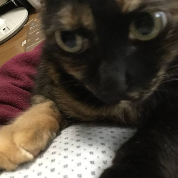 145c928e 75bd 44fb 9164 1ddf1fb69fd2 1562923332788