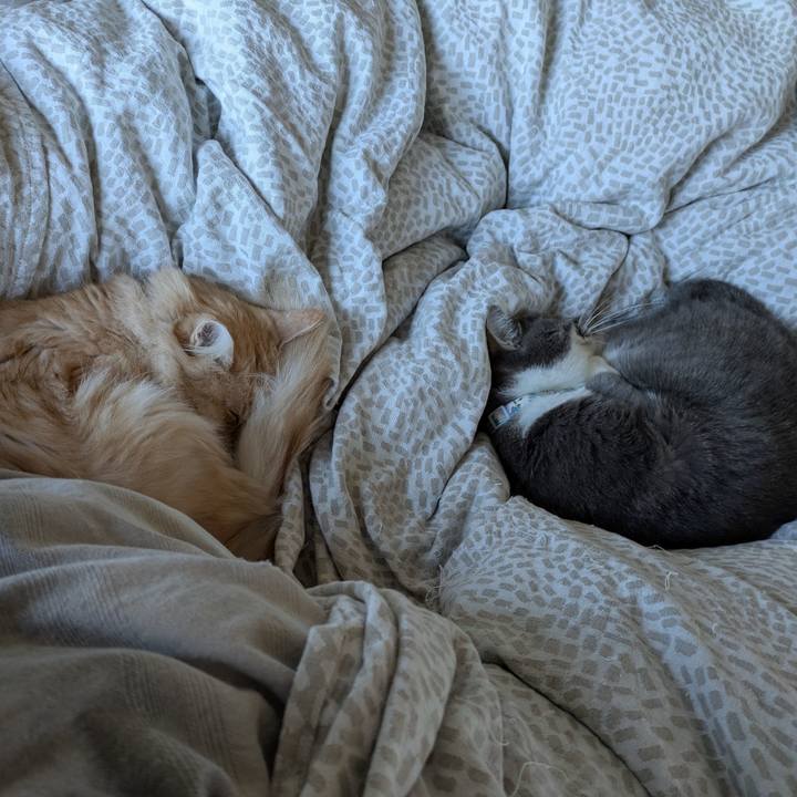 145cc4a5 bd09 4cd4 b649 9ddd829dd5e5 1732248965450