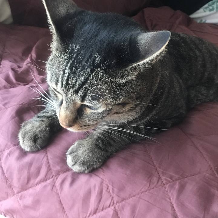 145cc6a1 d69c 4f59 9318 85f69dffa754 1537758432572