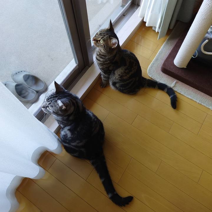 145d207d debd 40b2 af04 284595dbc189 1626833763028