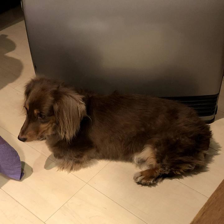 145d221b 252a 4650 9a3f 77e07d666d67 1603090695358