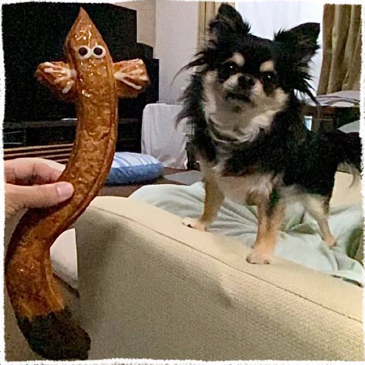 145d390b 5127 4afa 8463 0ffc1db219a3 1660889756520