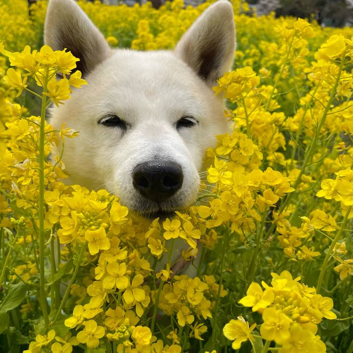 145d4ca2 10ea 4b83 bb06 38b596a2bc1b 1648891337616