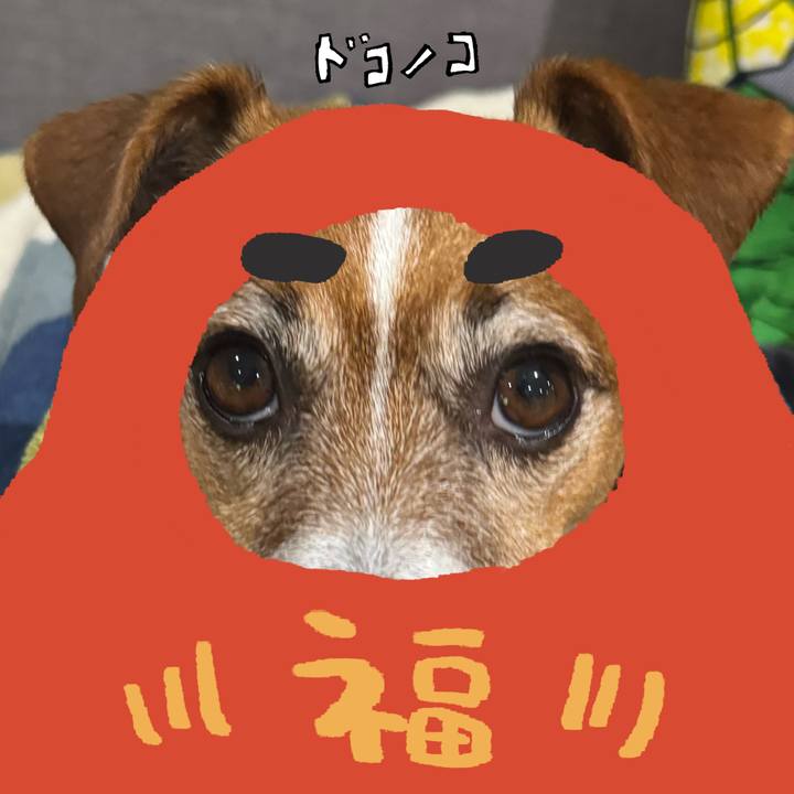 145d8162 9a11 4b97 83f6 56dde557bac2 1772314570287