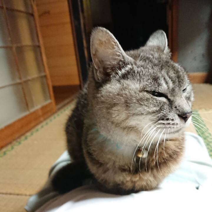 145d888d d3b8 4fce 95bb a504bc2812d7 1567418187940