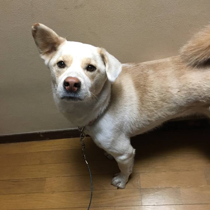 145d8b2f f70a 48f3 ac4e 733146ac3207 1515537090671