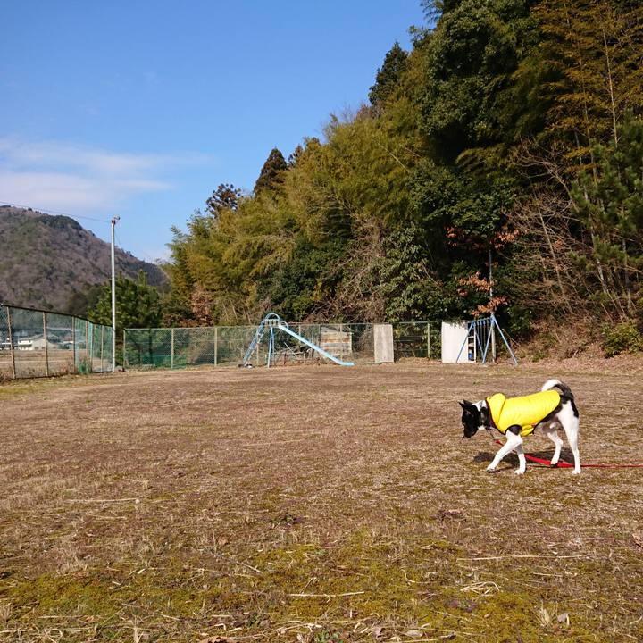 145db6cd df60 47ed 869d 42278d1b418b 1514689048165