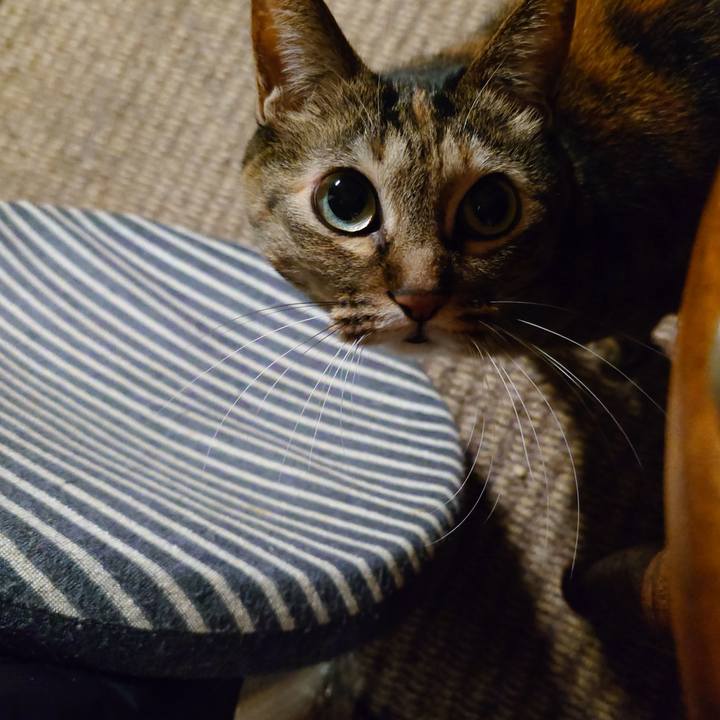 145dd9f0 9db2 4c90 bb5f d2496ab4821e 1768564723522