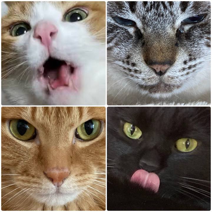 145e2a65 0db2 4818 833b a57fa58afadd 1767146987783