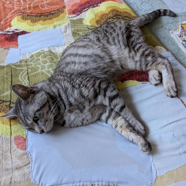 145e35a0 4fa1 419d 83b3 18c78fe0db12 1742716177489