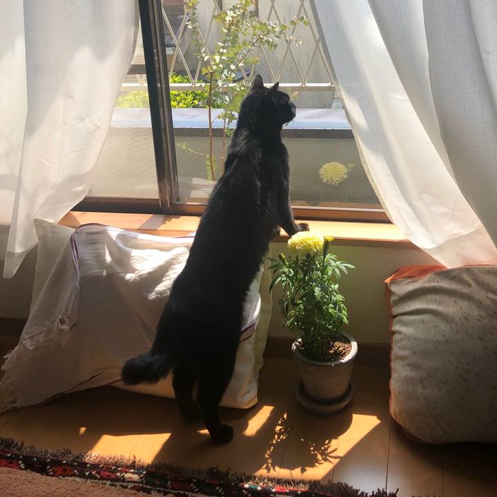 145e4913 e1f0 4203 ac84 127abc5d978b 1587271915484