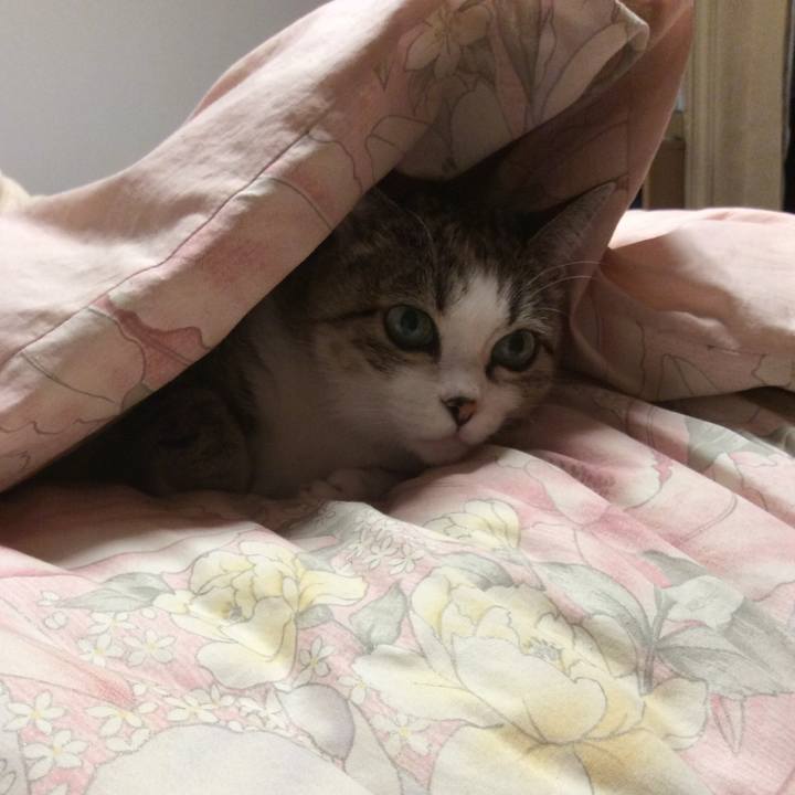 145e534f 1b92 45d9 a1aa de11f9f7962b 1767653528924