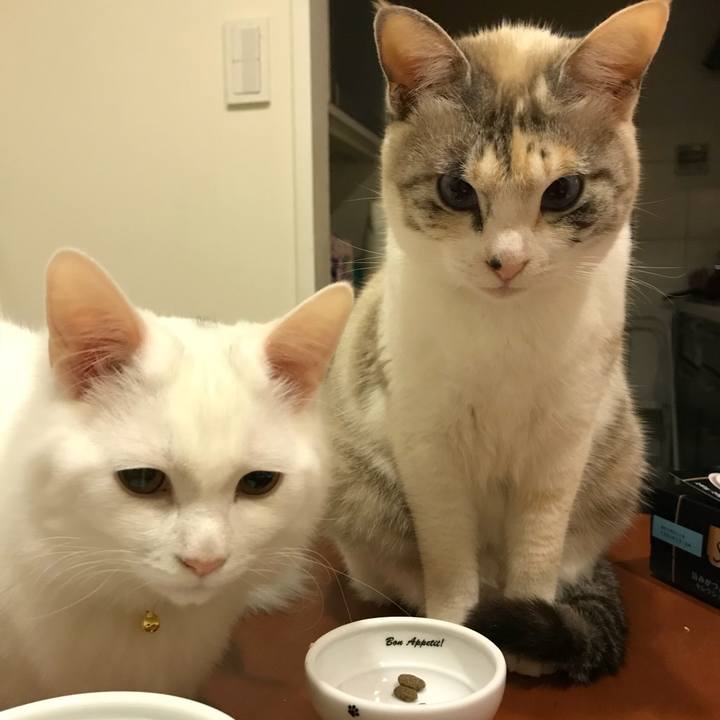 145e549d a5bd 46ee a2f8 6ef7d42dd84b 1515928583148