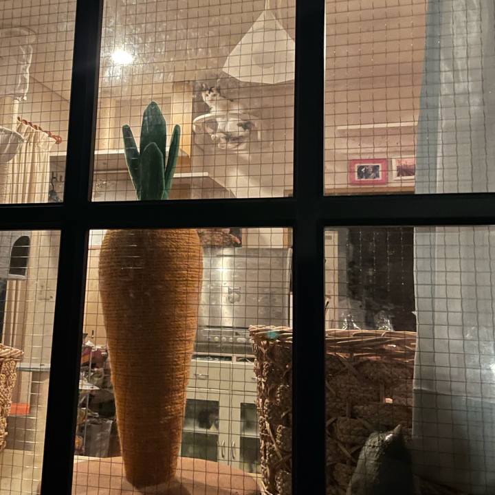 145e89d4 b374 4284 96ca 33315abb37b2 1737462652272