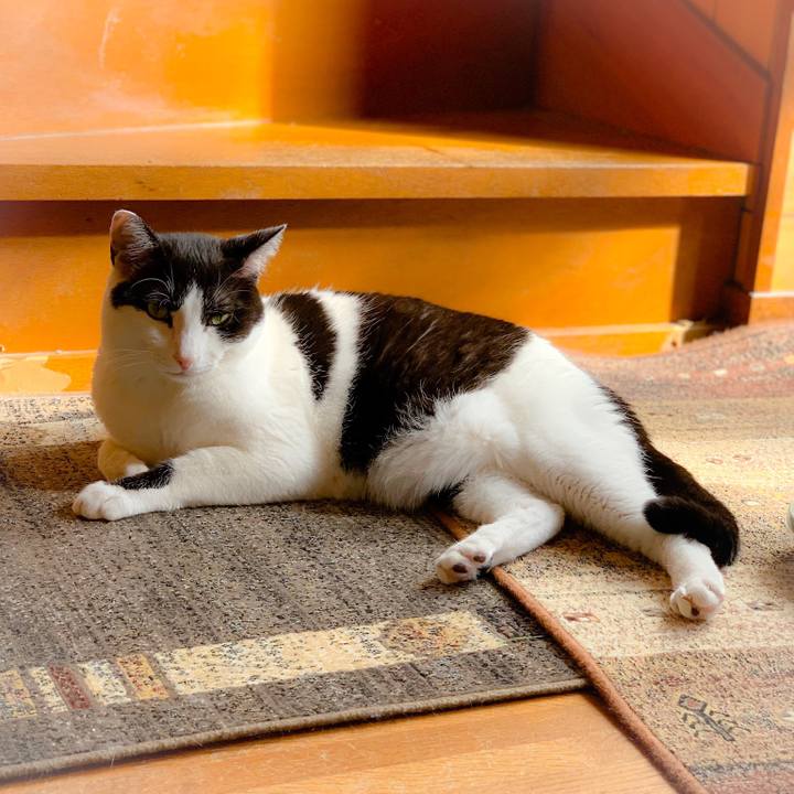 145eb1cf 8851 41bf b7ba 2455e8944180 1557281890374