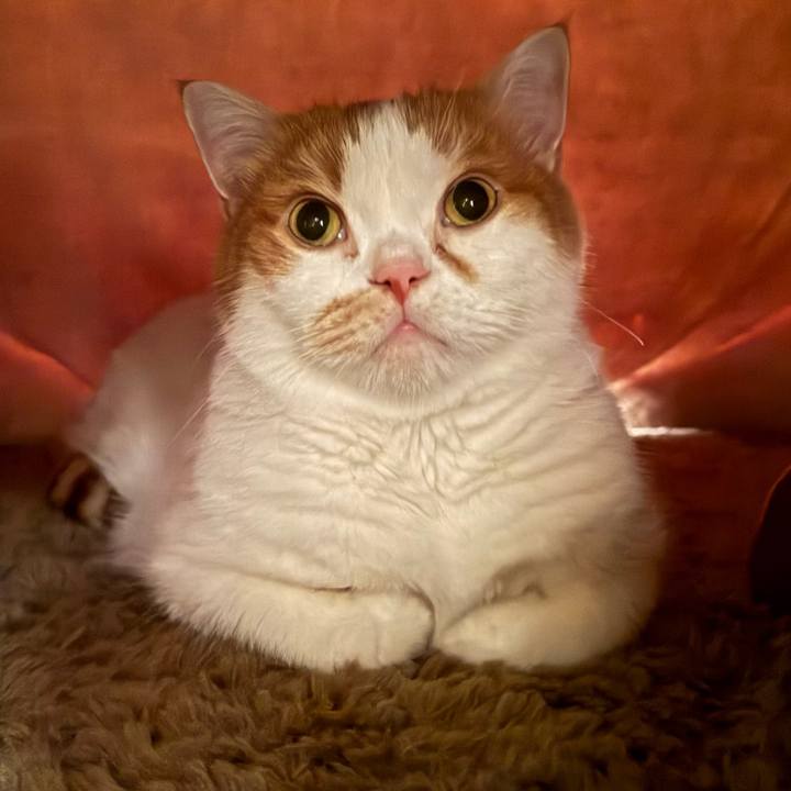 145ec5bf 23ad 41fe b2c9 238aae0a0455 1761222324009