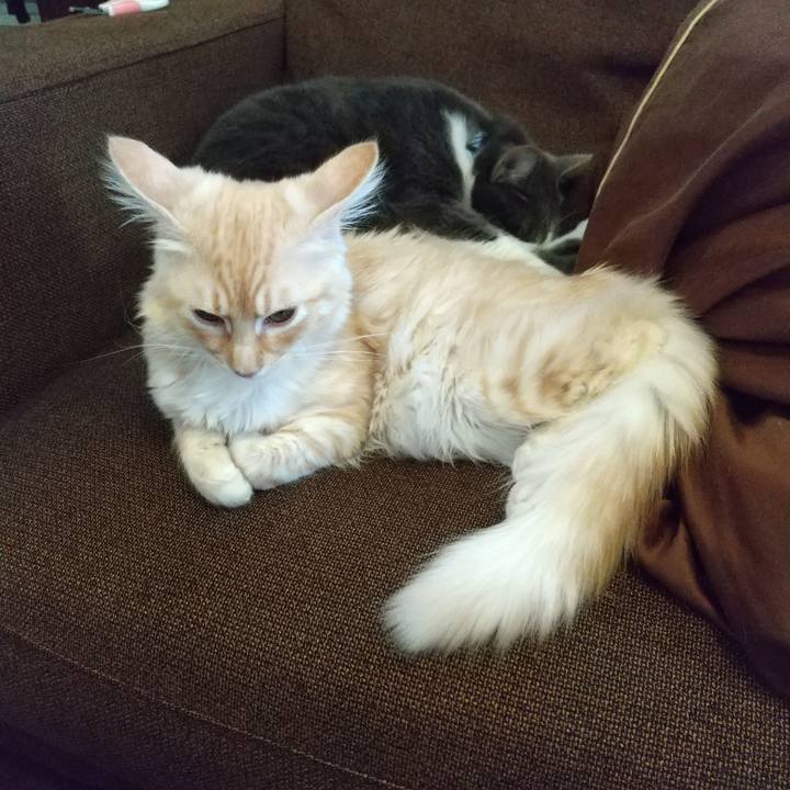 145ed002 b121 4a66 847b 2f255af3b4ae 1610253425613