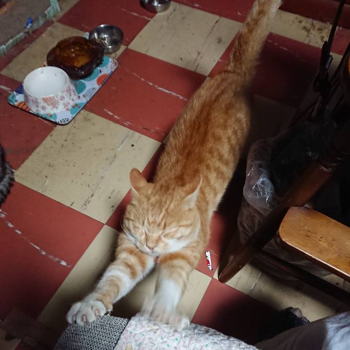 145ed97d efcb 4d1e 8dd3 30856a04dc44 1572983366551