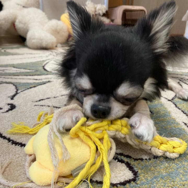 145f19a2 b985 47a3 96f3 6e929fa57f7d 1629602856312